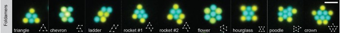 Microscopic-Yellow-and-Blue-Droplets.jpg