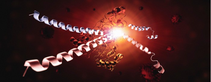 SARS-CoV-2-Viruss-Main-Protease-scaled.jpg