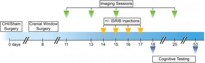 pnas.2209427119fig01.jpg
