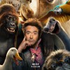 唐尼主演奇幻片《多力特的奇幻冒险》国内定档2月21日