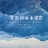 贾樟柯执导 《一直游到海水变蓝》柏林首映