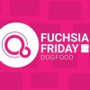 新证据表明谷歌Fuchsia系统已进入“狗粮”阶段 即将邀请用户测试