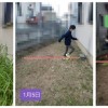 没用任何药剂：日本小男孩的脚踏除草实验