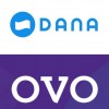 传印尼版“支付宝”Dana将与Ovo合并 超越GoPay成当地第一大电子钱包