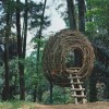 又一组高清大片：微软发布Treehouses PREMIUM 4K壁纸