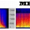 买HiFi耳机只是浪费钱？实测你的耳朵到底有多灵