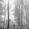 霉霉《Folklore》专辑已创下Apple Music 24小时发行量新纪录