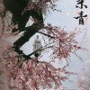 电影《射雕英雄传之九阴白骨爪》杀青 黄药师与梅超风的恩怨情仇