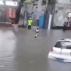 惊险：暴雨积水女子在路面游泳 结果险被卷入车底