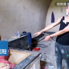 四个网友相约盗墓 刚挖一米就放弃：太苦