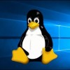 微软Linux软件集合从9月24日开始不再支持TLS 1.0/1.1