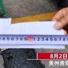 3.6米长罚单竟是开给电动车的！这辆车都经历了啥？