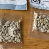 美媒试图汇总分析最近几月的“网购种子”迷云事件
