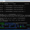 [教程]使用WSL2挂载Linux硬盘 在Windows上访问ext4等文件系统