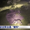 家庭烧烤时突然爬来50多只大螃蟹：味道极其鲜美 可惜不能吃