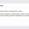 Facebook封掉上百个活动人士账号 官方：系统错误所致
