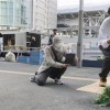 日本天桥下长出“超坚强”萝卜引网友争相围观 结果被拔掉了