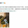 华纳：11月18日公布新版《猫和老鼠》首支预告