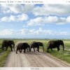 [图]iOS端OneDrive现支持上传Live Photos