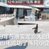[视频]当水族馆的人工孵化企鹅第一次看到雪