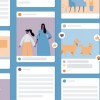 Facebook的广告诚信主管离开公司