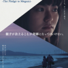 朝鲜绑架事件电影《向惠美发誓》特别预告 2月19日上映