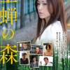 酒井法子主演电影《空蝉之森》新预告 2月5日上映