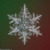 微软前高管18个月打造1亿像素相机 拍出分辨率最高雪花照片
