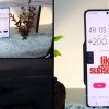 Galaxy S21在水族箱中浸泡11天后仍能继续工作 内置秒表已经走到第三轮