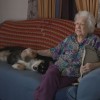 美国老人去世后将遗产留给爱犬：价值500万美元