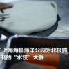上海北极熊过年吃到4斤重大饺子 网友：吃得真欢乐