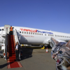 小猫闯入驾驶舱攻击机长 国外一架波音737出发30分钟后紧急返航