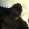 《哥斯拉大战金刚》曝海量剧照 3.26上映