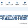 小米诉美企交互数字 武汉中院发出首个跨国禁诉令