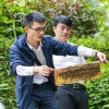 蚂蚁告别胡晓明