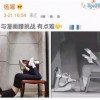 杨幂回应漫画腰挑战：非常抱歉、可能对身体有害