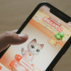 天猫宣布6·18取消PK玩法 养猫红包可随时提现