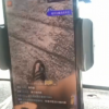 网络主播吃播象群吃剩的菠萝 网友怒斥蹭热点无底线