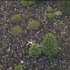 Reddit网友又总结一波：一不小心就眼瘸的照片
