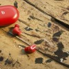 Beats Studio Buds无线降噪耳塞发布 在iOS与Android设备上表现一样好