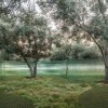Apple Park将设“海市蜃楼”艺术品：400多根玻璃圆柱组成