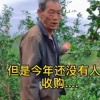 “卖惨带货”的戏码该凉凉了