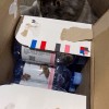 天猫超市就矿泉水现老鼠事件道歉：下架相关商品全面排查