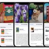 iOS 15未修复Bug：删消息会话导致相册中保存的图片也躺枪