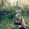 Google和瑞典自然保护协会合作，新增AR展示了5个濒危物种