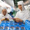11月中旬前iPhone 13产量预计不会有重大变化 因零部件订单无重大变化