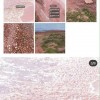 虚假滤镜、照骗风波，小红书到底得了什么病？