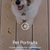 Google Arts & Culture新增Pet Portraits功能：宠物照可匹配艺术品