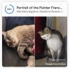 Google推Pet Portraits：将你的宠物和知名艺术品进行匹配