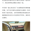 长城欧拉好猫芯片事件再起波澜 疑似有软文“洗白”遭车主围攻